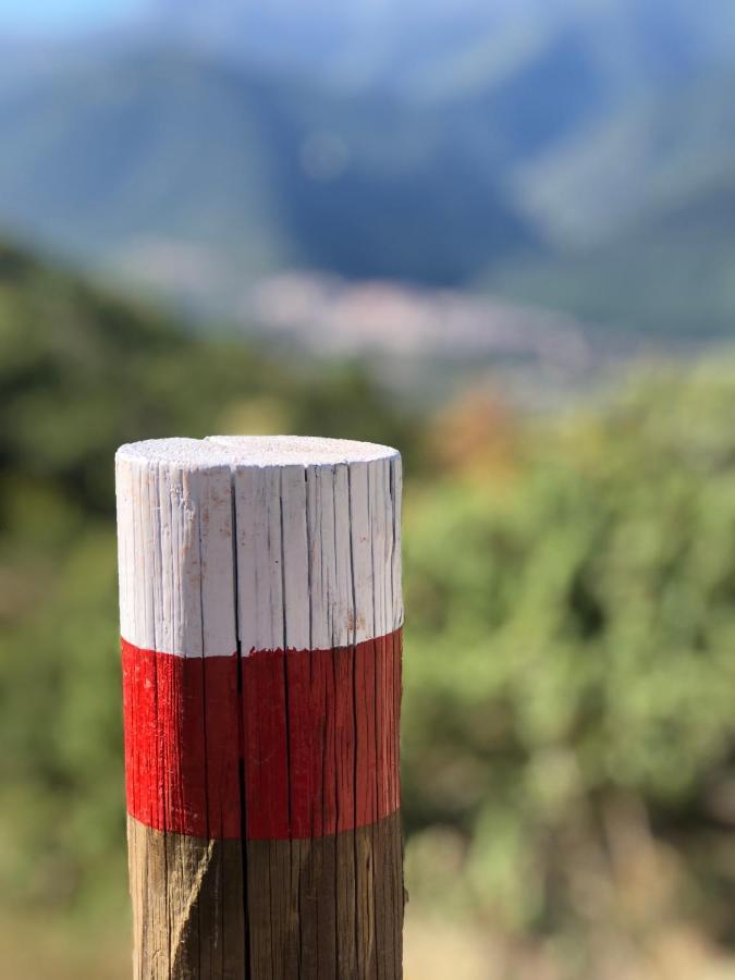 Il Minotauro B&B A 5 Minuti Da Popoli Vittorito Kültér fotó